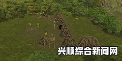 人类黎明基地建造攻略