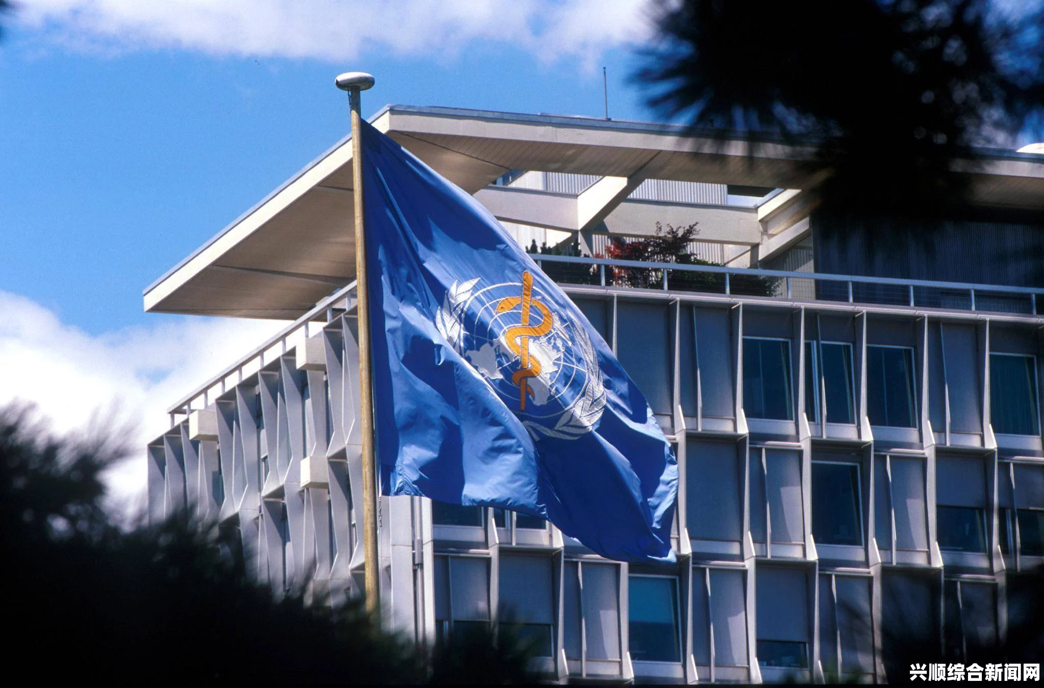 牛津大学警告，埃博拉病毒蔓延危及非洲十五国，威胁七千万人口生存