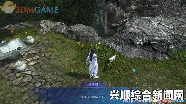 仙剑奇侠传六比武失败深度解析，比武技巧与失败原因探究