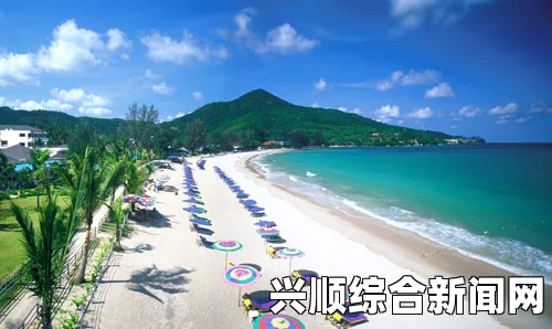 英国两名游客在泰国龟岛遭遇不幸事件