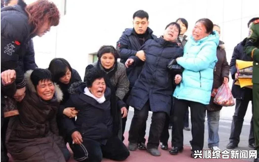 第七部门谜题攻略详解