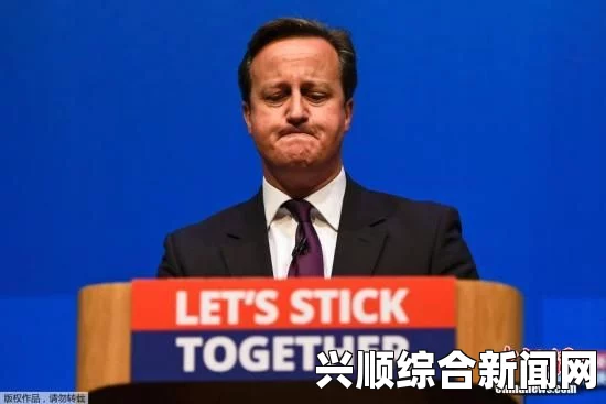 卡梅伦发表讲话，联合王国应该团结一心，不再争议