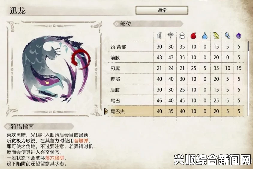 怪物猎人P3迅龙弱点解析与应对策略攻略