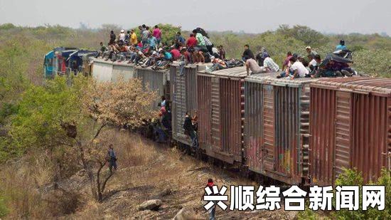 墨西哥火车提速三倍，严防非法越境者攀爬车厢