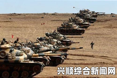德国外交部长关于德国不会参与对伊斯兰国空袭或地面战斗的立场