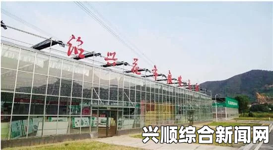 墨池镇中文设置指南，一步步教你如何调整中文设置