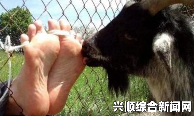 人权组织报告攻击中国，刑具出口管制不严助长侵犯人权