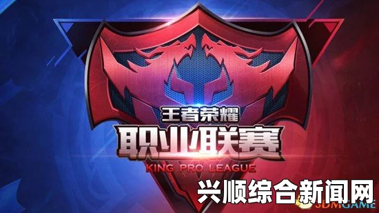守望先锋OWPS完美收官，团结荣耀，比赛精彩瞬间回顾