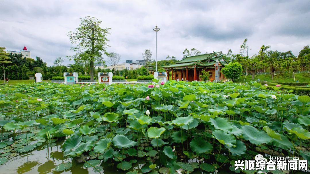 梦幻西游接天莲叶赏夏荷活动任务详解与介绍