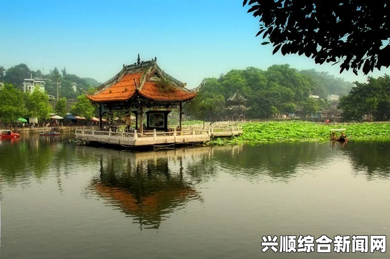 梦幻西游接天莲叶赏夏荷活动任务说明介绍