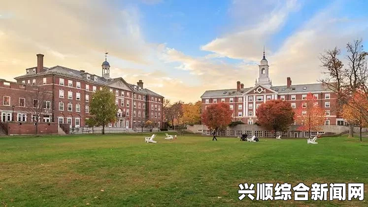 中国大批造假驾照涌入美国，美官员称制作精良可乱真