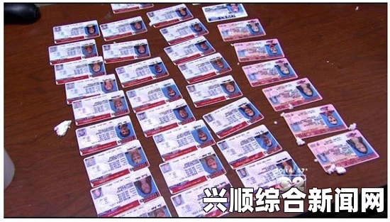 中国大批造假驾照涌入美国，美官员称制作精良可乱真