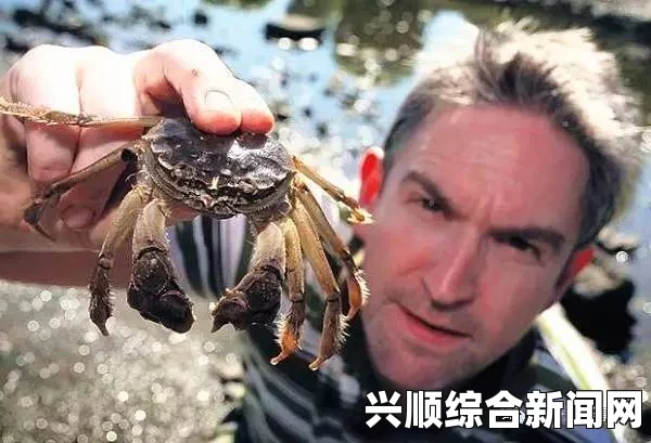 德国大闸蟹泛滥引发关注，检验检疫合格证成必要通行证