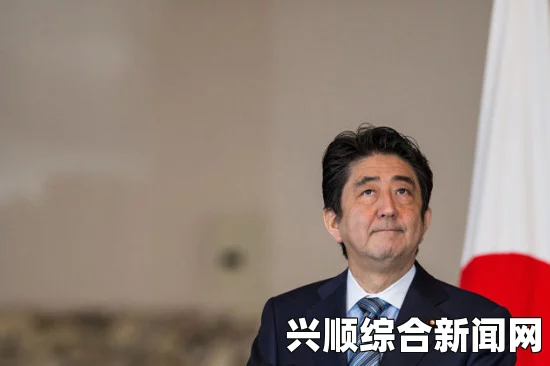 日本首相安倍晋三与联合国秘书长潘基文的会晤，探讨联合国改革与日本的入常之路
