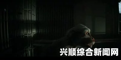 美国本土首例埃博拉病毒感染者确诊，疫情关注升级