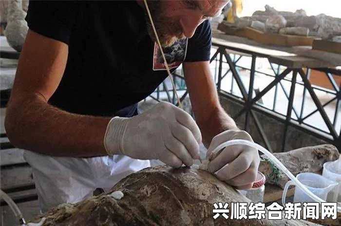 守墓人，尸体解剖数值影响探究