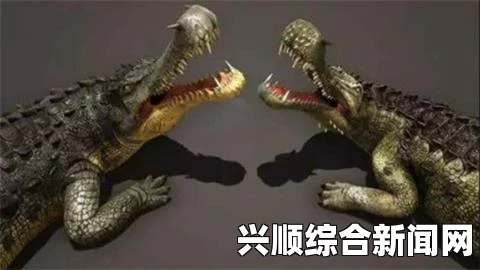 方舟剑龙的食物与饲料解析