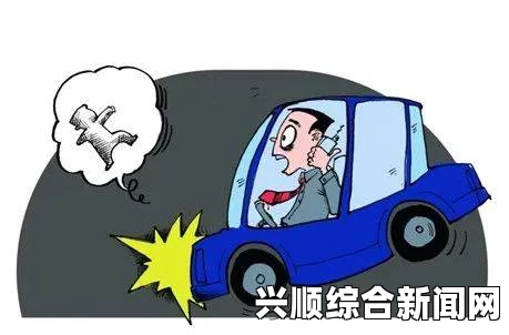 事故原因深度解析，探究事故发生的根源