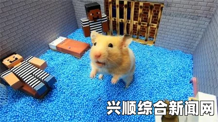 伊朗男子自制巨型仓鼠球渡海赴百慕大遭遇迷失危机
