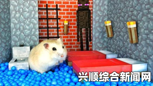 伊朗男子自制大号仓鼠球渡海赴百慕大迷失方向