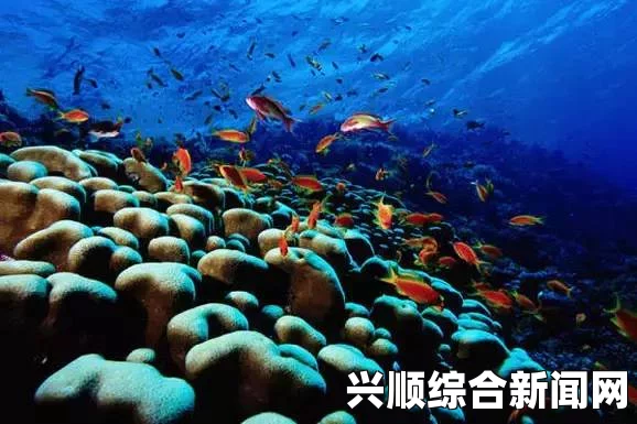 埃及男子创红海潜水吉尼斯世界纪录，深海挑战的新里程碑