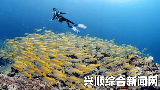 埃及男子创红海潜水吉尼斯世界纪录，深海挑战的新里程碑