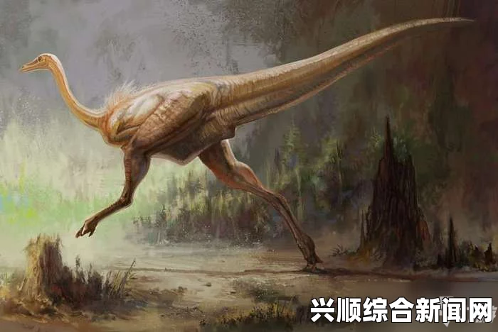 方舟斑龙，功能与用途解析