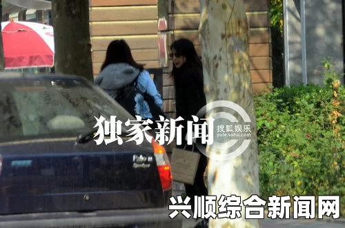 华裔老妇过马路被撞重伤，西裔男子疑似超速驾驶—一场意外的交通事故