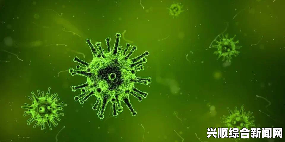 乌干达发现致命马尔堡病毒，疫情严峻，防控隔离工作紧张展开