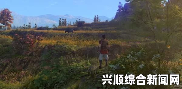 侠客风云传，养成战斗场景深度解析与试玩视频展示