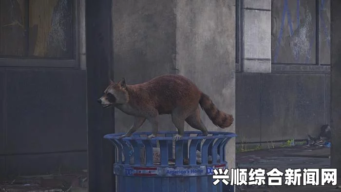 全境封锁2相机模式解锁攻略，轻松掌握开启方法