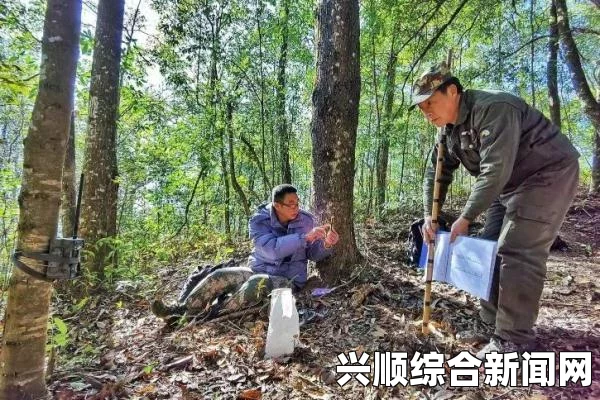 全境封锁2相机模式开启方法