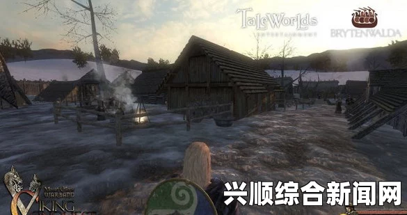 维京征服骑马与砍杀战团技能攻略大全，征服之路上的战斗技巧与心得分享
