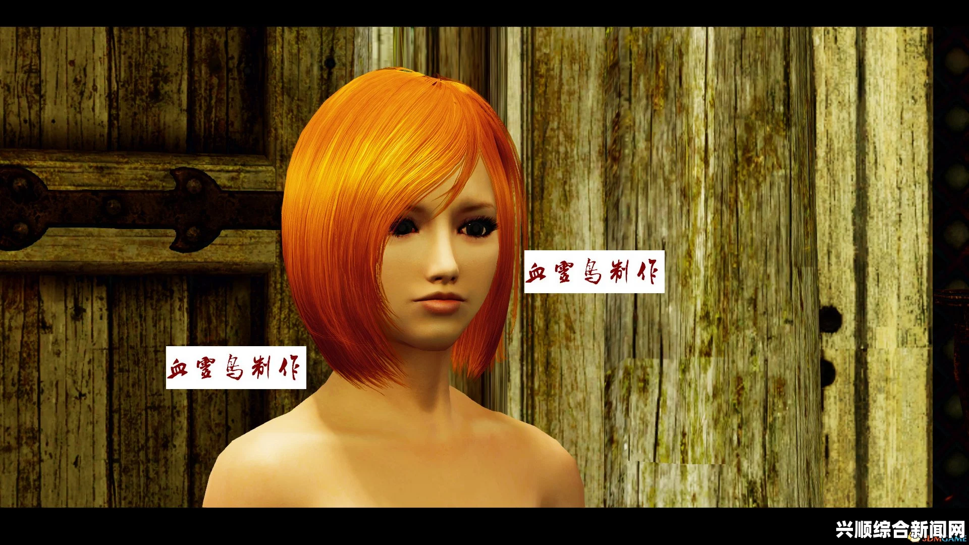 上古卷轴5，血灵鸟丝丝妹子——随从MOD美颜至上