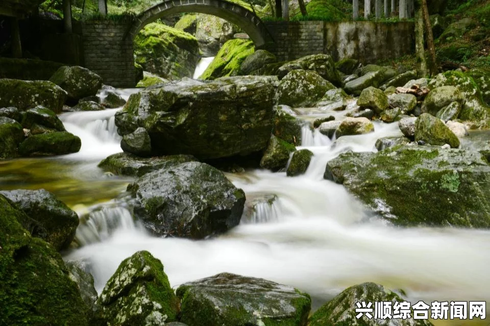全境封锁2无人机种类详解