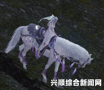 天涯明月刀少女体型坐骑形态一览