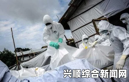 联合国雇员感染埃博拉病毒去世，全球埃博拉疫情肆虐，已致全球超4000人死亡