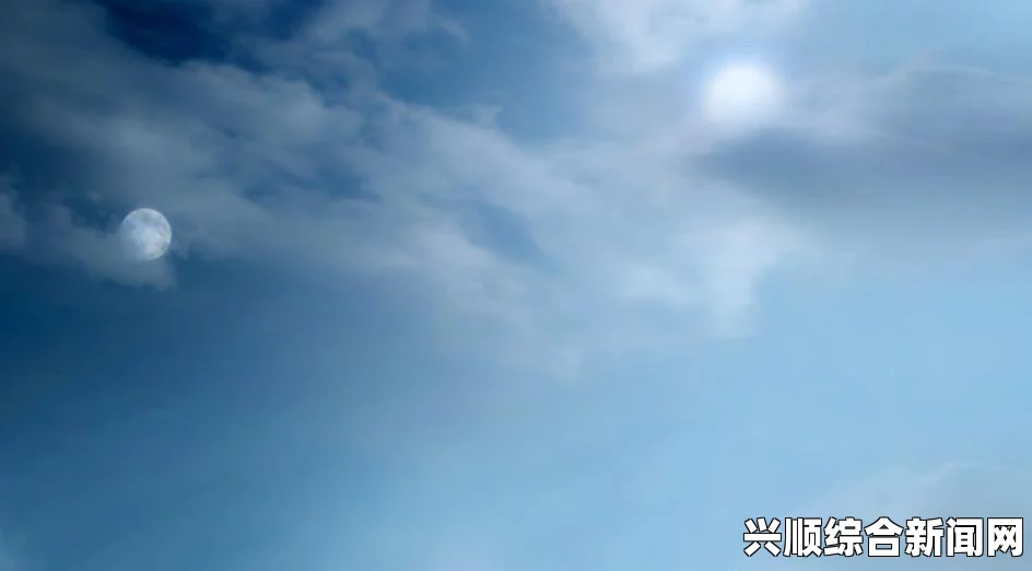 龙骑兵弓，深入解析与特点介绍