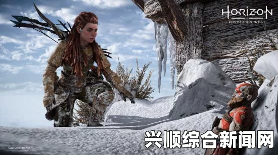 二、龙骑兵弓介绍