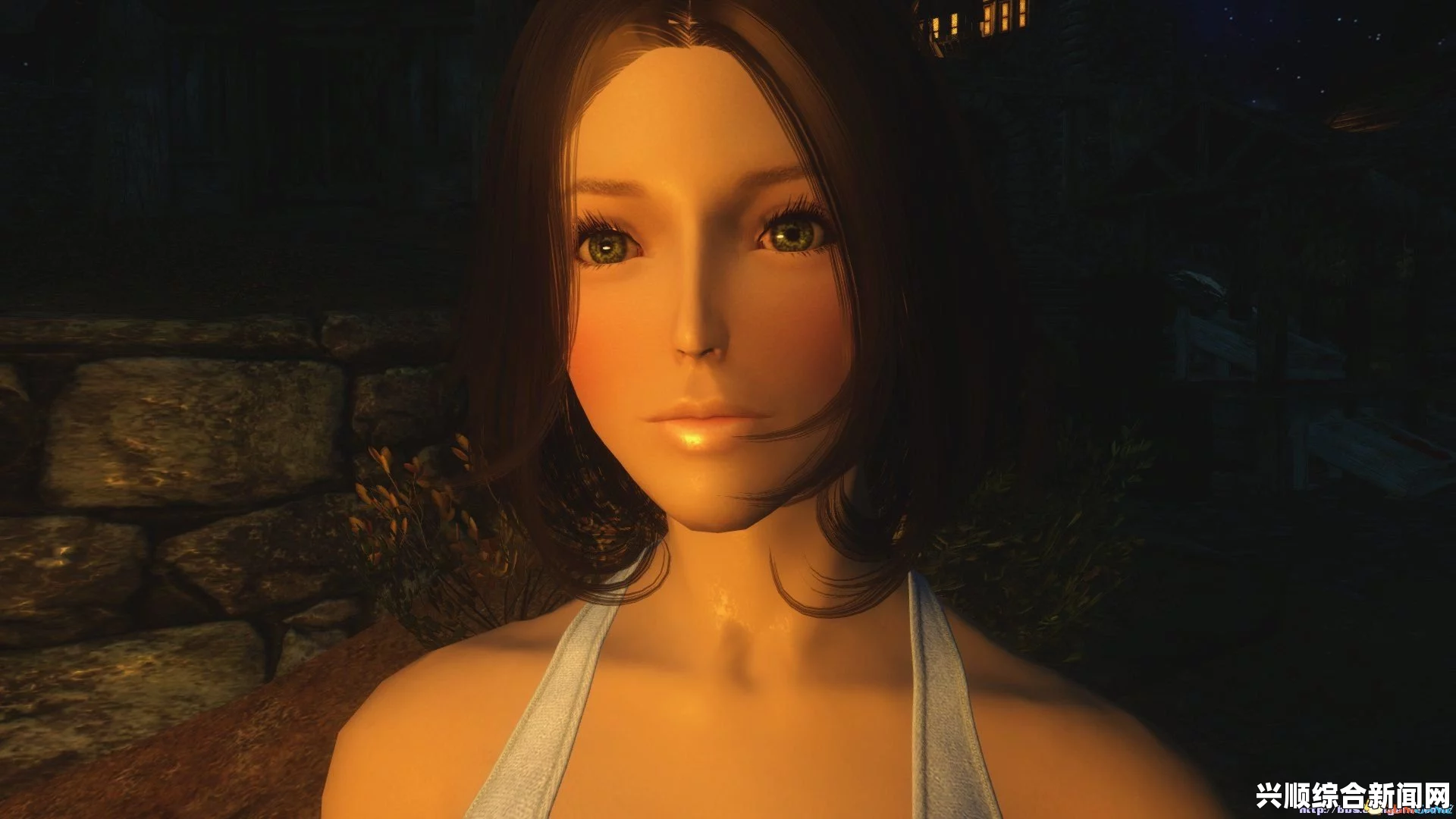上古卷轴5，独立随从MOD之巨乳超清纯独立魔剑士随从详解