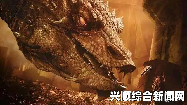 男子腹部神秘红色痕迹揭秘，蜘蛛悄无声息潜入皮肤事件（图文报道）