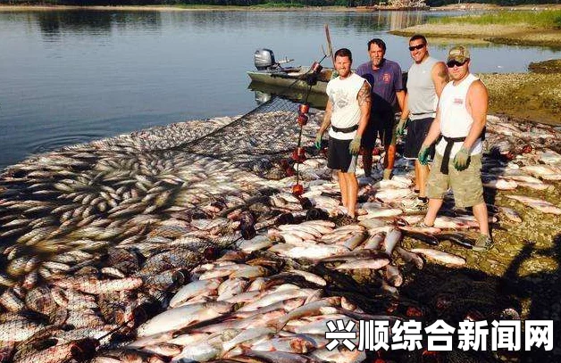 美国渔业公司捕捞亚洲鲤鱼返销中国，生态灾难背后的故事