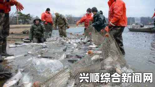 美国渔业公司捕捞亚洲鲤鱼返销中国，生态灾难背后的故事