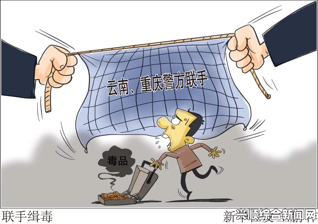 中澳警方联手打击贪污腐败行动，跨国合作展现反腐决心