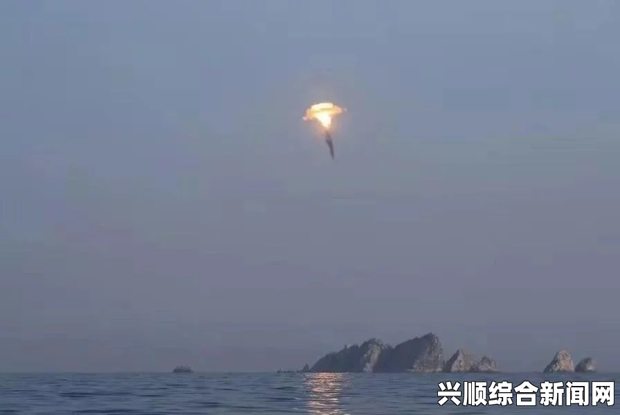 全境封锁2，护盾技能全面解析与详解