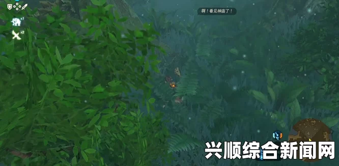 克洛洛森林的地理位置及其神秘魅力探索