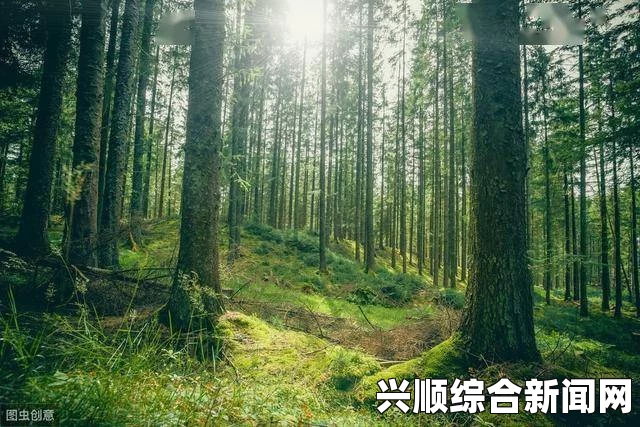 森林结局是什么，自然生态的终极命运