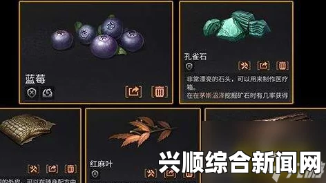 死人之国孔雀石蛋获取指南，全面攻略揭秘