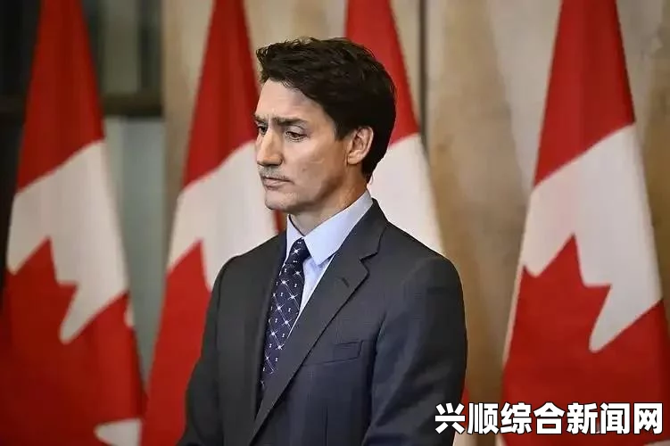 加拿大恐怖主义威胁升级至中度，报复名单曝光与应对策略制定