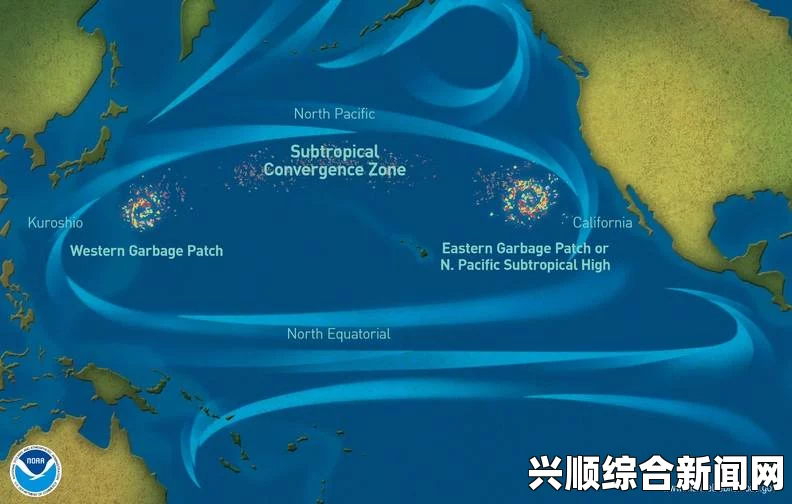 海洋塑料垃圾危机，每年超千万生物受害，恶化趋势引发全球担忧